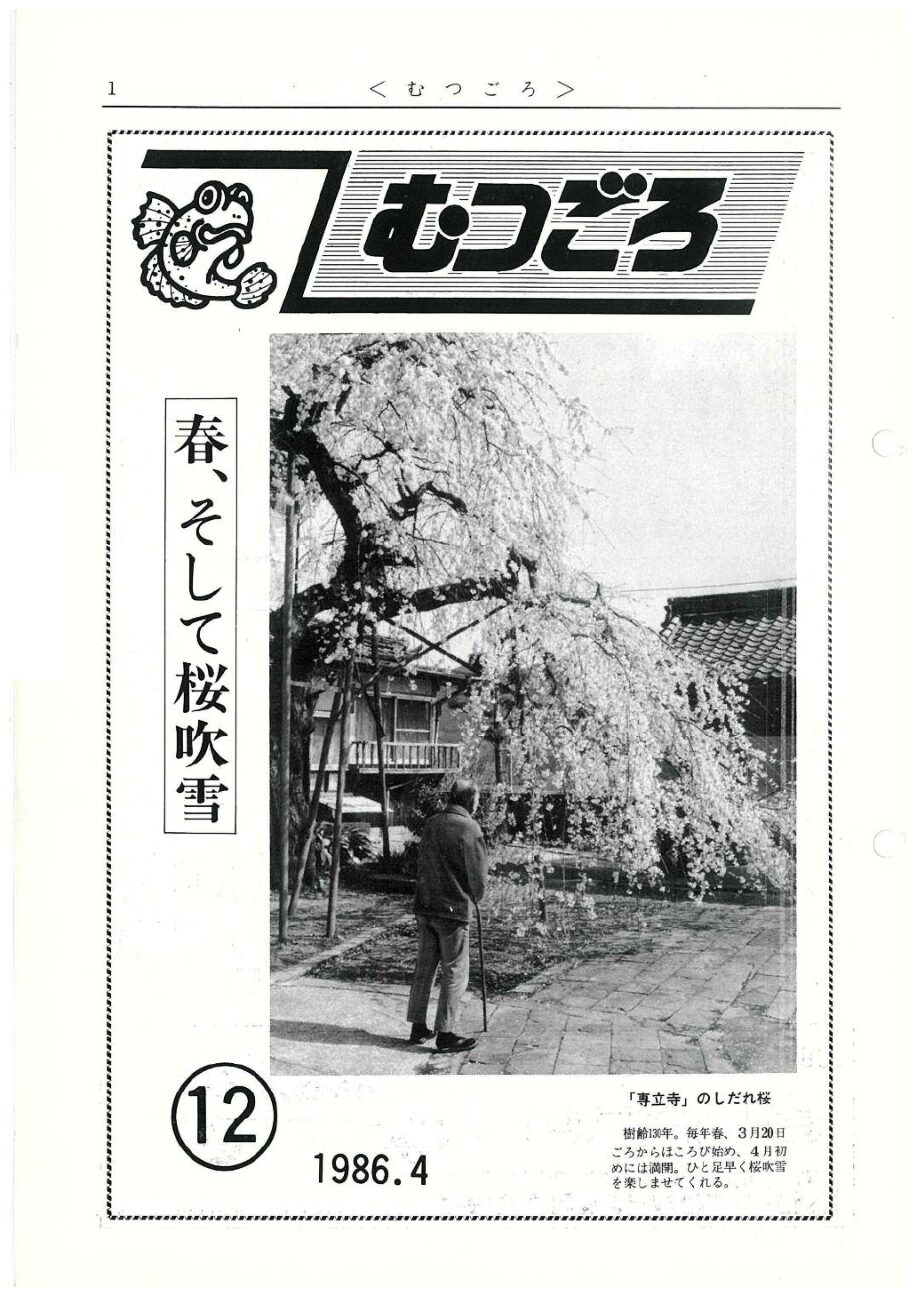 むつごろ１２号