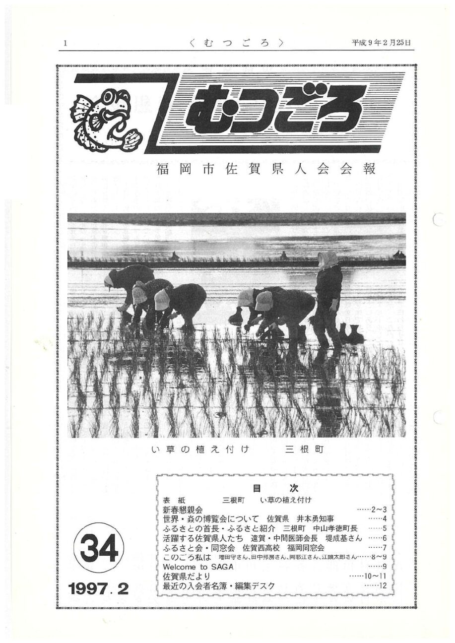 むつごろ３４号